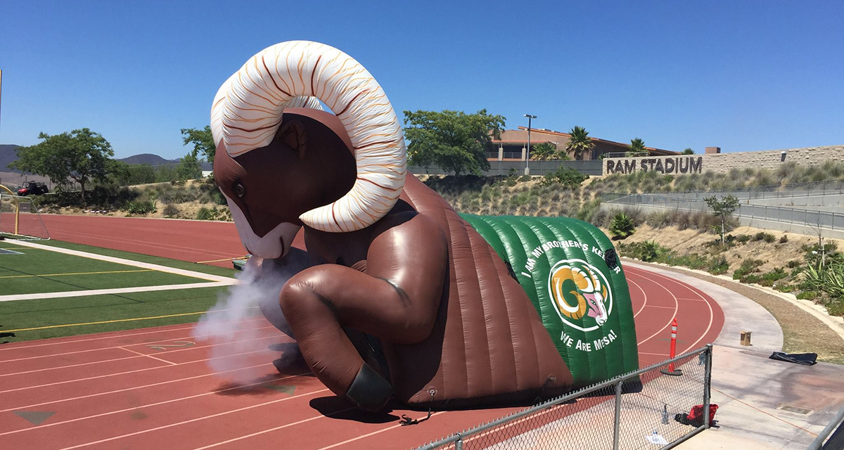 13938203 1195150900536142 7216458707185593493 o